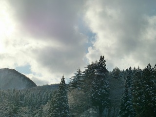 20121224_01.jpg